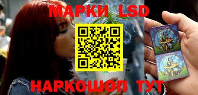 прущие грибы Камышлов