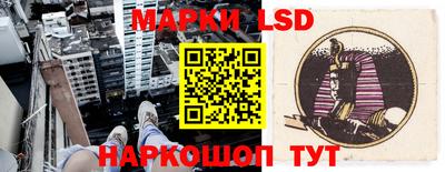 прущие грибы Камышлов