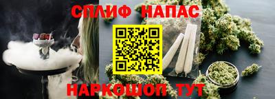 прущие грибы Камышлов