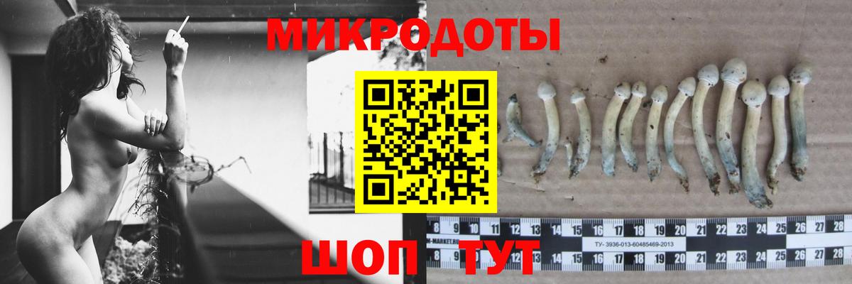 Псилоцибиновые грибы Cubensis  Вход с VPN  Кызыл  Псилоцибиновые грибы прущие грибы 